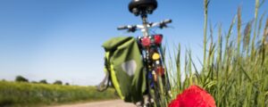 A vélo et voies vertes en Drôme+Ardèche : La ViaRhôna au fil du fleuve Rhône