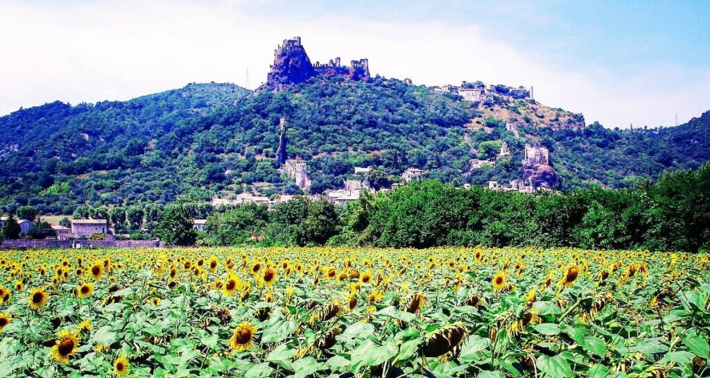 Vue sur le château de Rochemaure en Ardèche au dessus d'un champ de Tournesol sur le chemin menant à la passerelle